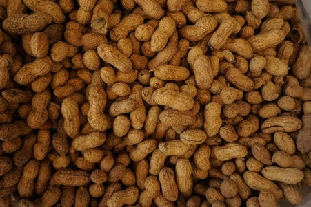 picture of unhulled peanuts