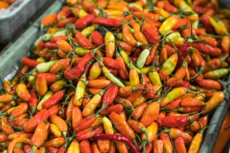 picture of chillies