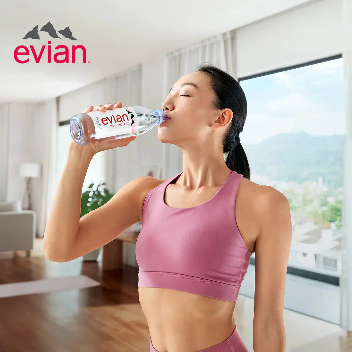 Evian Natural Mineral Water 330ml Bottles Evian